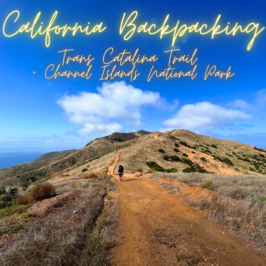 Full payment: California